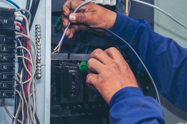 Best Electrical Troubleshooting Services  in Channel Lake, IL